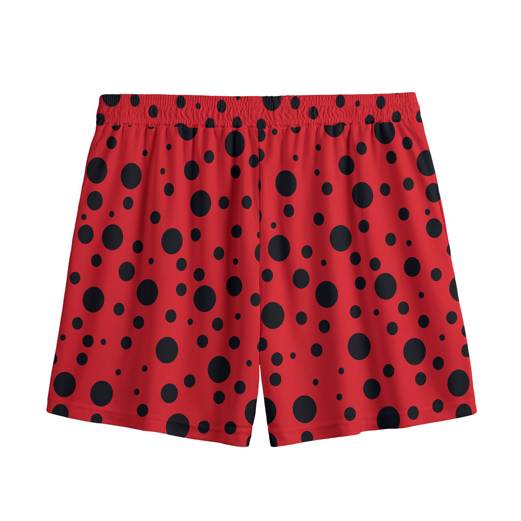 Ladybug Spots Pattern Print Mesh Shorts