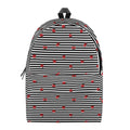 Ladybug Striped Pattern Print School Backpack