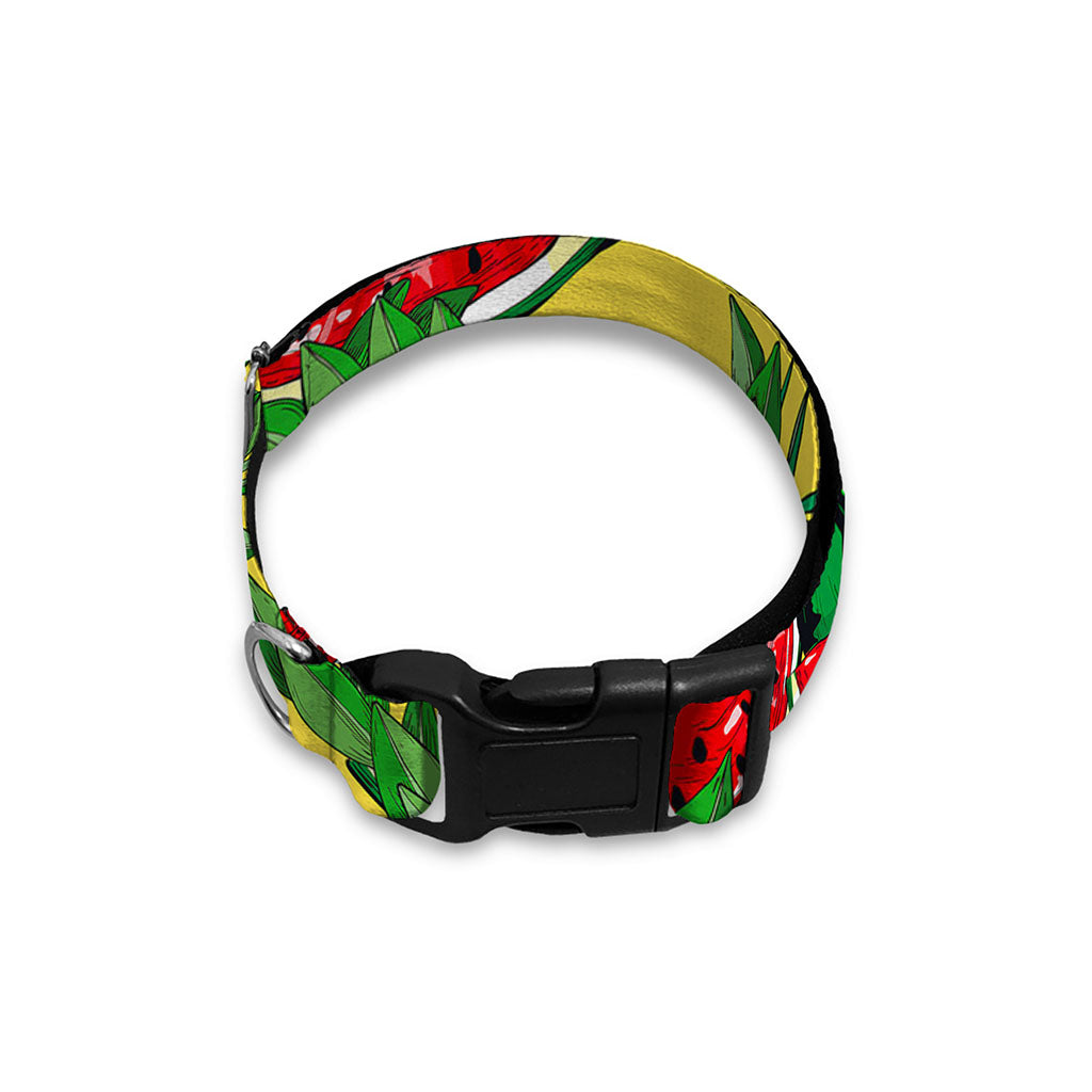 Leaf Watermelon Pieces Pattern Print Dog Collar