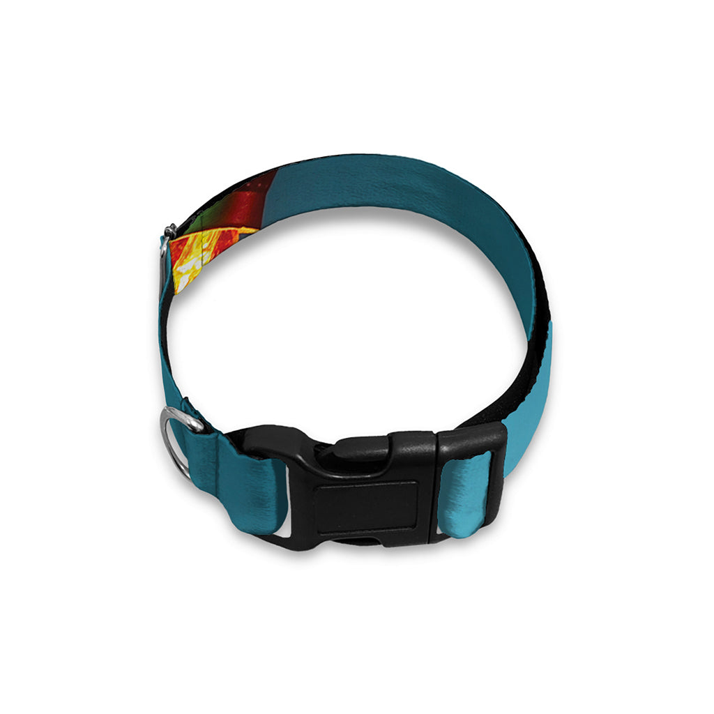 LED Christmas String Lights Print Dog Collar