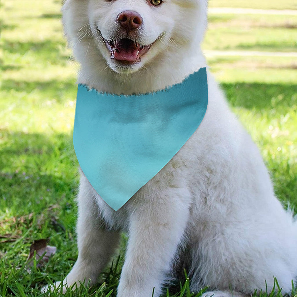 LED Christmas String Lights Print Over The Collar Dog Bandana