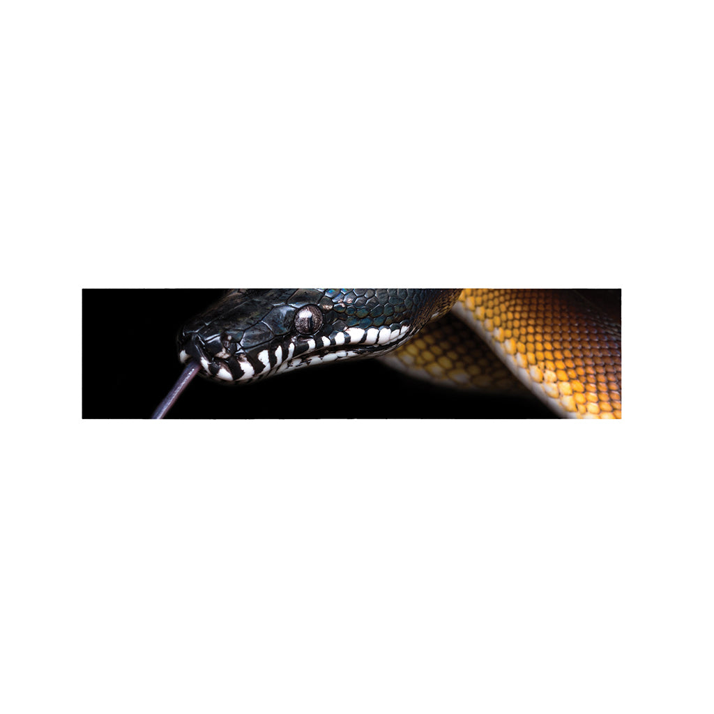 Leiopython Snake Print Bed Runner