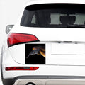 Leiopython Snake Print Car Sticker