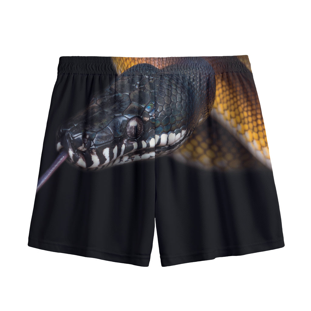Leiopython Snake Print Mesh Shorts