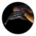 Leiopython Snake Print Round Floor Mat