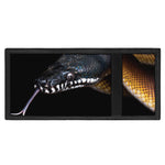 Leiopython Snake Print Trifold Wallet