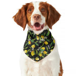 Lemon And Flower Pattern Print Dog Bandana