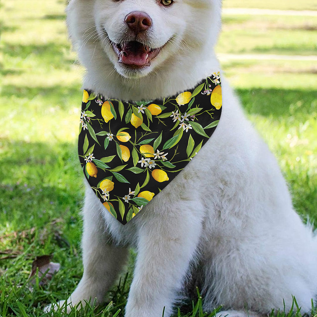 Lemon And Flower Pattern Print Over The Collar Dog Bandana