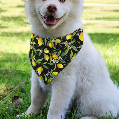 Lemon And Flower Pattern Print Over The Collar Dog Bandana
