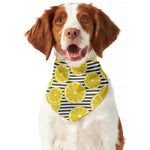 Lemon Striped Pattern Print Dog Bandana