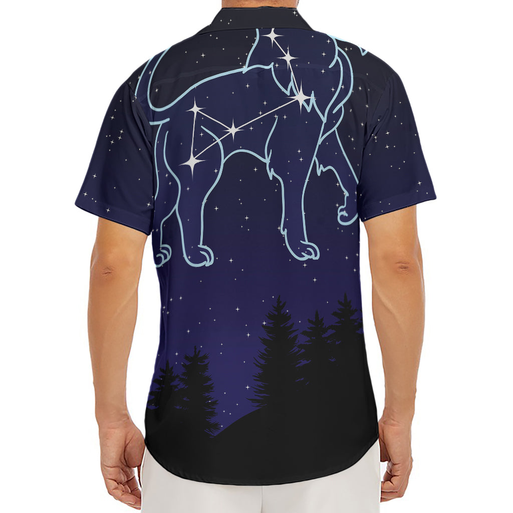 Leo Constellation Print Men's Deep V-Neck Shirt