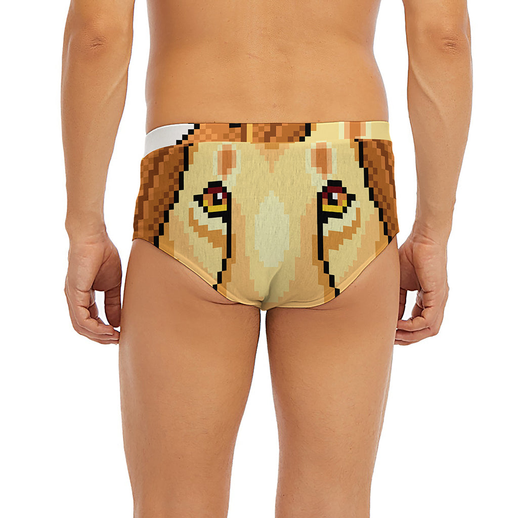 Leo Pixel Print Men's Briefs