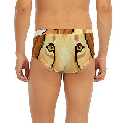 Leo Pixel Print Men's Briefs
