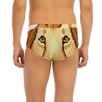 Leo Pixel Print Men's Briefs
