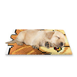 Leo Pixel Print Pet Cooling Mat Cover