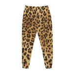 Leopard Pattern Print Jogger Pants
