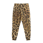 Leopard Pattern Print Sweatpants