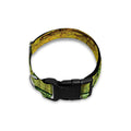 LGBT Pride Rainbow Brick Wall Print Dog Collar