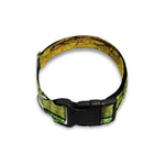 LGBT Pride Rainbow Brick Wall Print Dog Collar