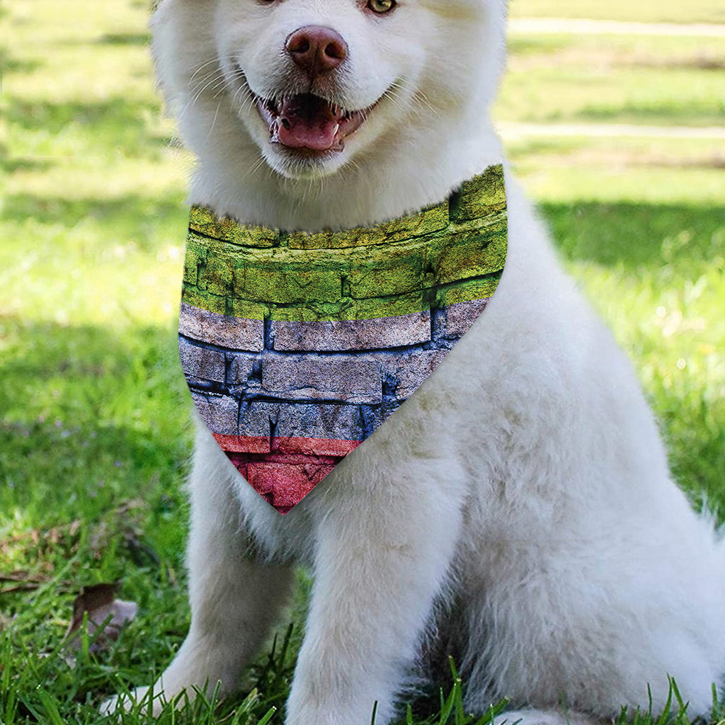 LGBT Pride Rainbow Brick Wall Print Over The Collar Dog Bandana