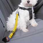 LGBT Pride Rainbow Flag Print Dog Seat Belt