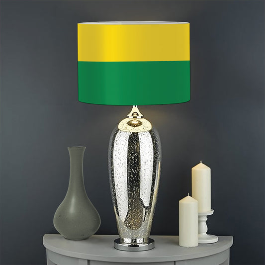LGBT Pride Rainbow Flag Print Drum Lamp Shade
