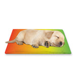 LGBT Pride Rainbow Gradient Print Pet Cooling Mat Cover