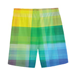 LGBT Pride Rainbow Plaid Pattern Print Men's Sports Shorts