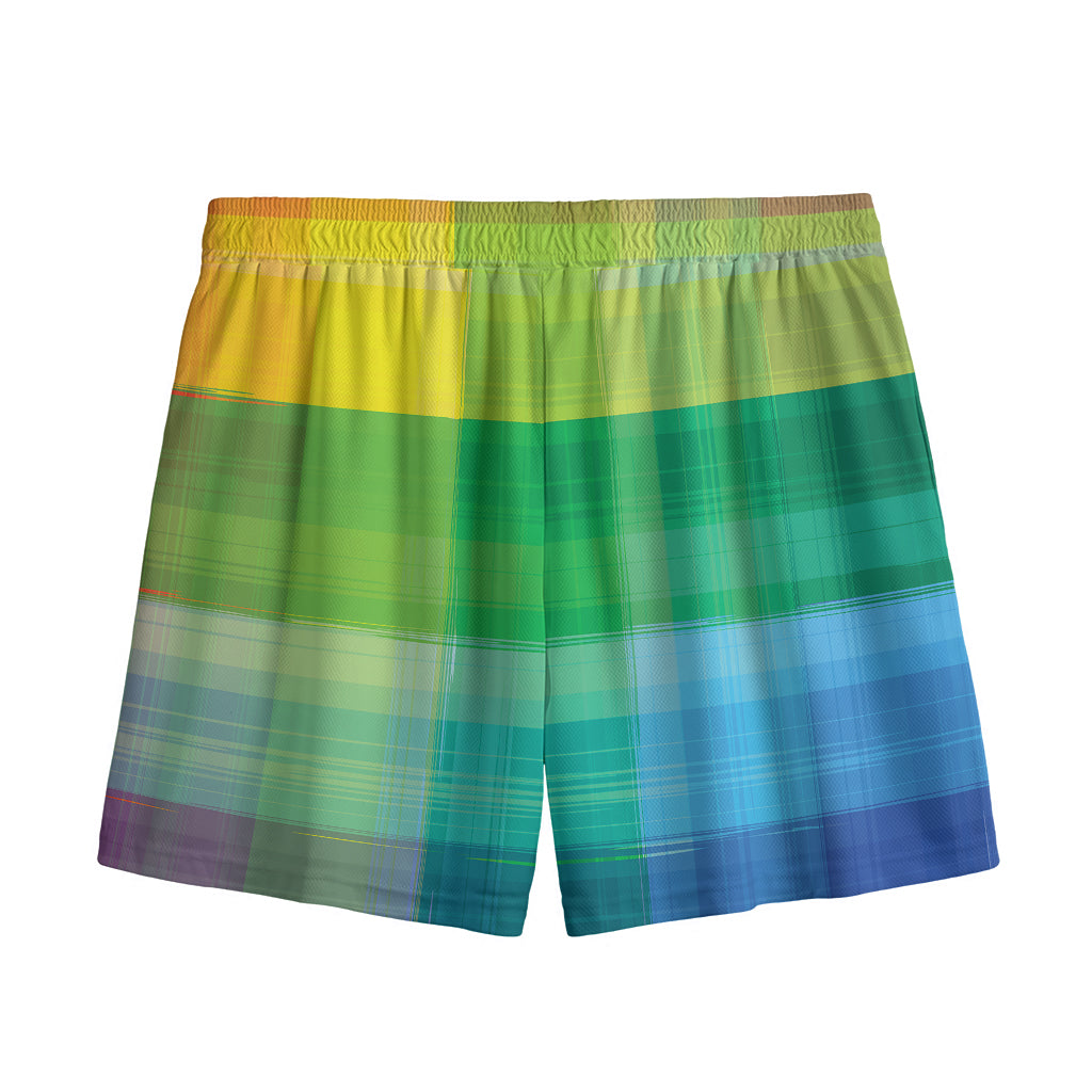 LGBT Pride Rainbow Plaid Pattern Print Mesh Shorts