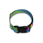 LGBT Pride Rainbow Rays Print Dog Collar