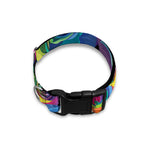 LGBT Pride Rainbow Roses Pattern Print Dog Collar