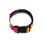 LGBT Pride Rainbow Roses Print Dog Collar