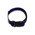 Libra Constellation Print Dog Collar