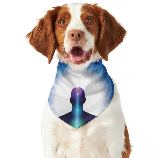 Light Of Seven Chakras Print Dog Bandana
