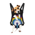 Light Of Seven Chakras Print Pet Carrier Backpack