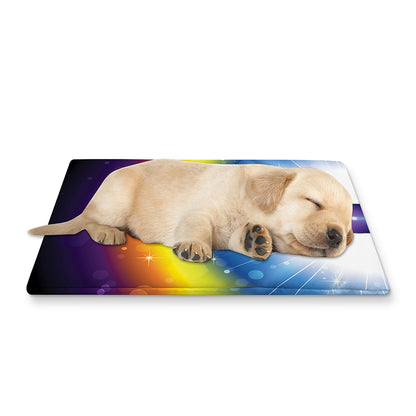Light Of Seven Chakras Print Pet Cooling Mat Cover