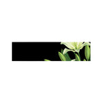 Lily Floral Print Bed Runner