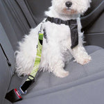 Lily Floral Print Dog Seat Belt