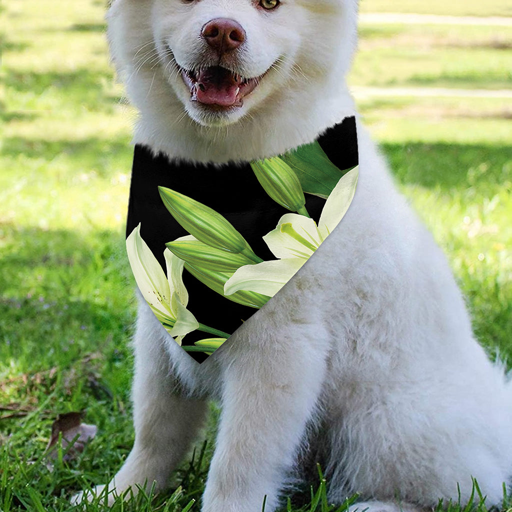 Lily Floral Print Over The Collar Dog Bandana