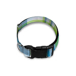 Lime And Blue Madras Plaid Print Dog Collar