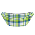 Lime And Blue Madras Plaid Print Fanny Pack