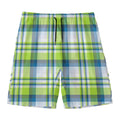 Lime And Blue Madras Plaid Print Men's Swim Trunks
