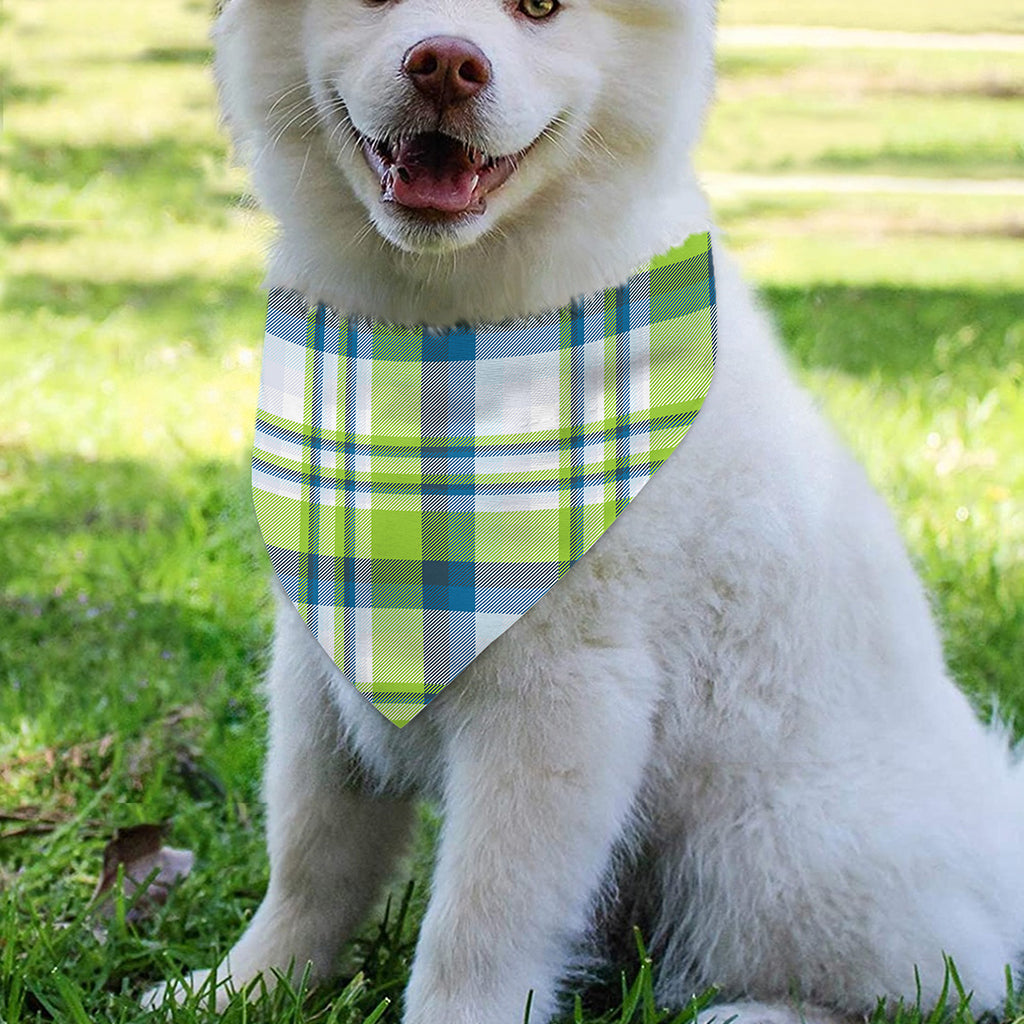 Lime And Blue Madras Plaid Print Over The Collar Dog Bandana