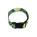 Lime And Lemon Pattern Print Dog Collar