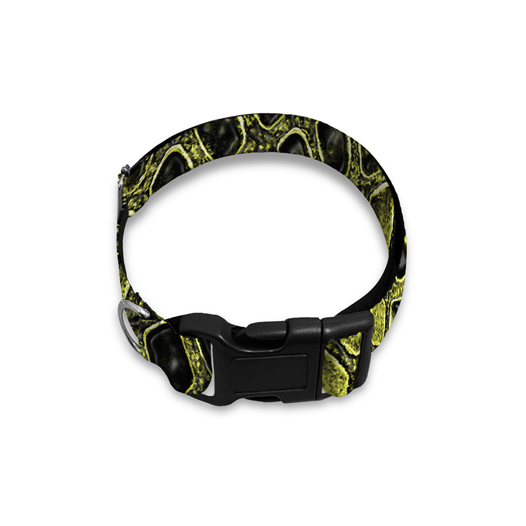 Lime Green And Black Snakeskin Print Dog Collar
