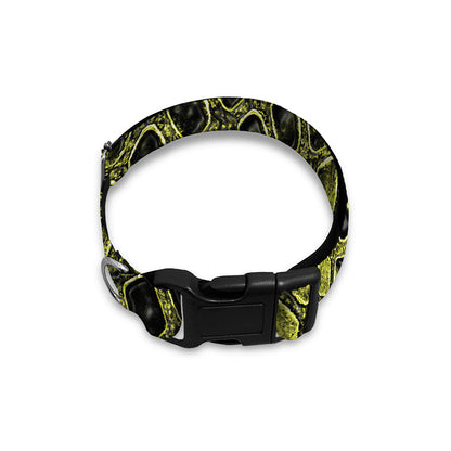 Lime Green And Black Snakeskin Print Dog Collar