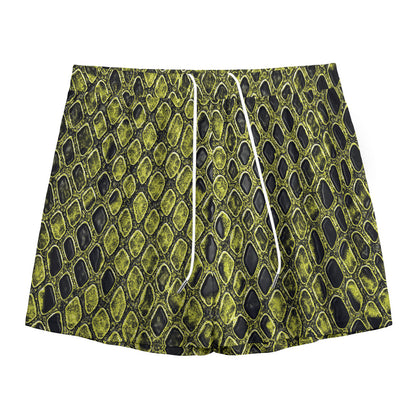 Lime Green And Black Snakeskin Print Mesh Shorts