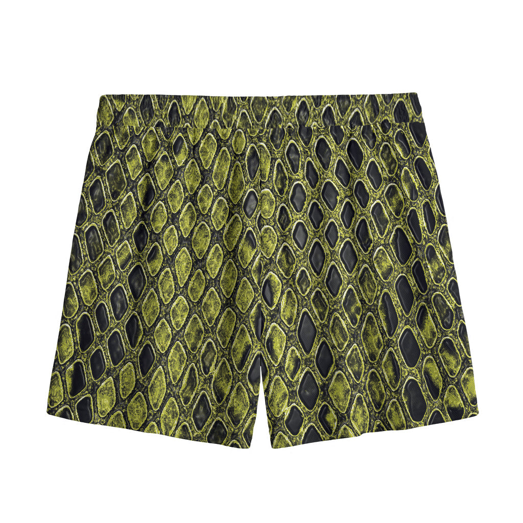 Lime Green And Black Snakeskin Print Mesh Shorts
