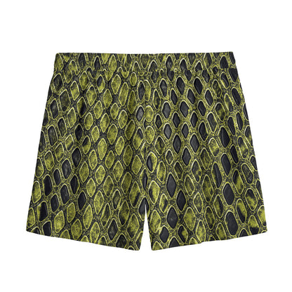 Lime Green And Black Snakeskin Print Mesh Shorts