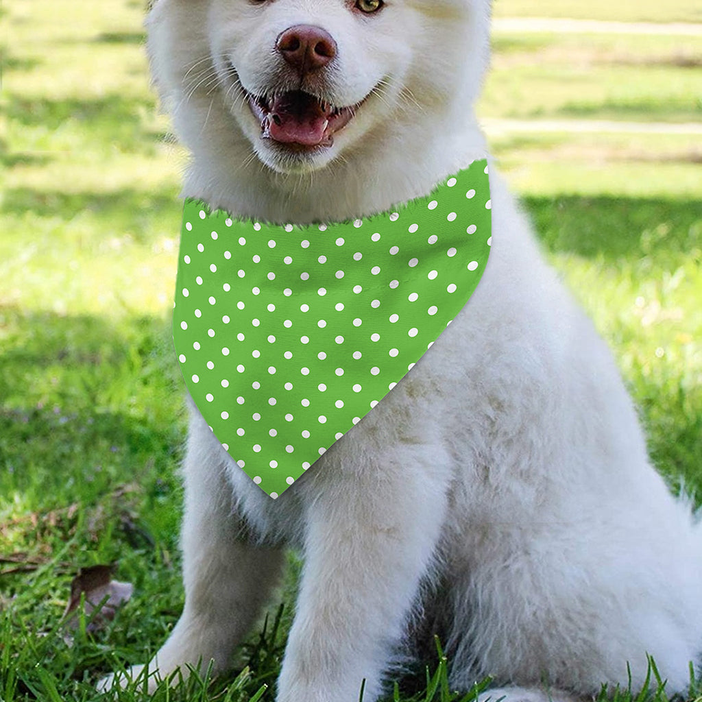 Lime Green And White Polka Dot Print Over The Collar Dog Bandana